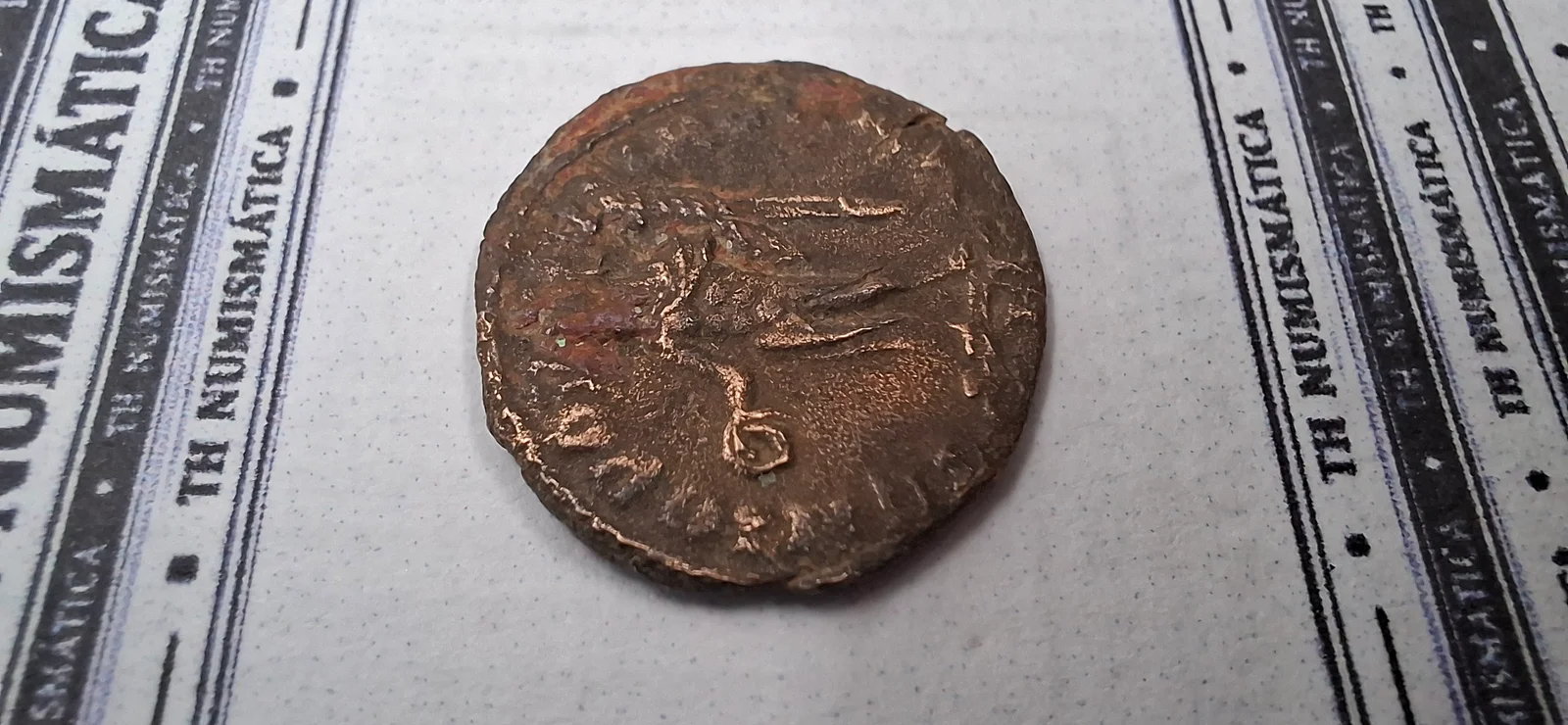 Complementar da moeda TH-N-0226 — Constâncio I. 1/4 follis