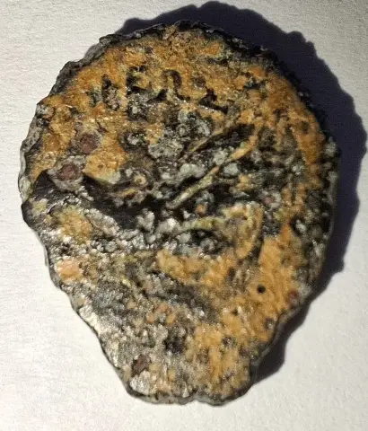 Reverso da moeda TH-N-0463 — Reino Ptolomaico, moeda AE não identificada. AE