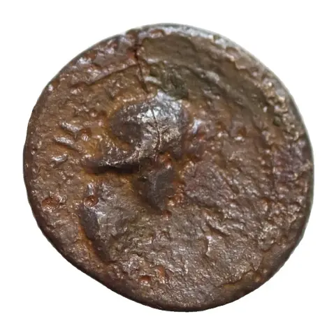 Lateral da moeda TH-N-0487 — Mísia, Pérgamo, Bronze Provincial AE16, Senado e Roma, c. 40–60 d.C.